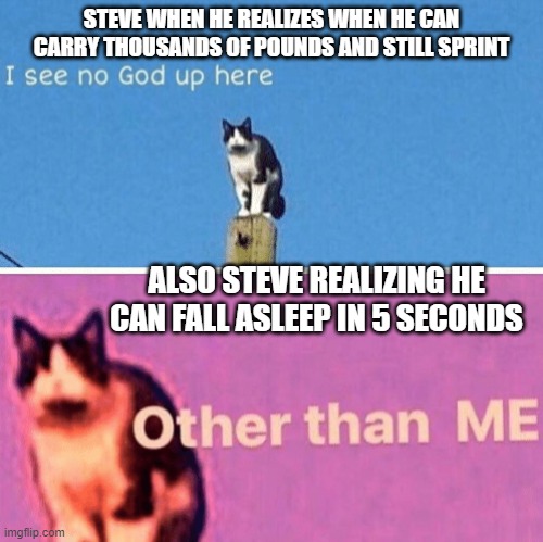Steve is amazing | STEVE WHEN HE REALIZES WHEN HE CAN CARRY THOUSANDS OF POUNDS AND STILL SPRINT; ALSO STEVE REALIZING HE CAN FALL ASLEEP IN 5 SECONDS | image tagged in hail pole cat | made w/ Imgflip meme maker