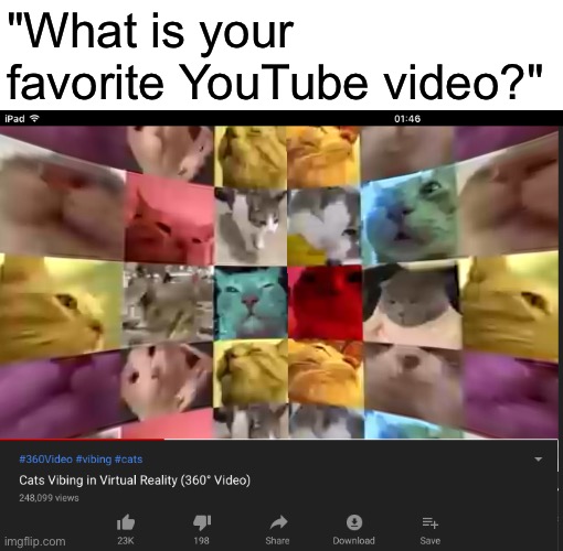 Tags | "What is your favorite YouTube video?" | image tagged in cats | made w/ Imgflip meme maker