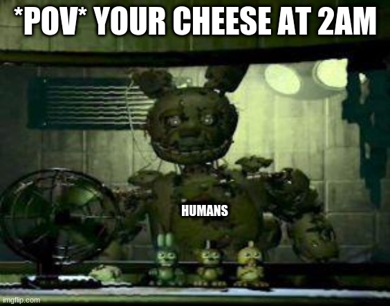 FNAF Springtrap in window | *POV* YOUR CHEESE AT 2AM; HUMANS | image tagged in fnaf springtrap in window,memes | made w/ Imgflip meme maker