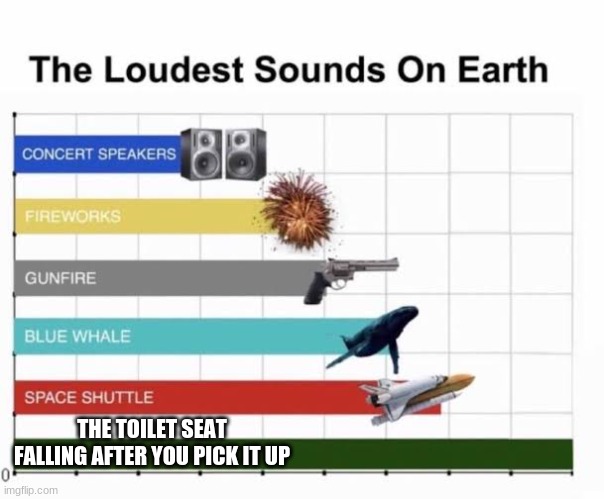 The loudest sound on earth | THE TOILET SEAT FALLING AFTER YOU PICK IT UP | image tagged in the loudest sounds on earth | made w/ Imgflip meme maker