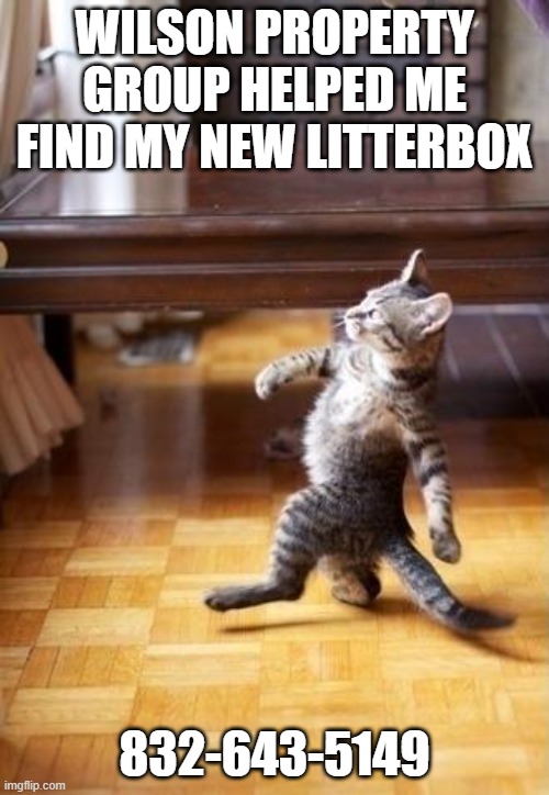 Cool Cat Stroll Meme | WILSON PROPERTY GROUP HELPED ME FIND MY NEW LITTERBOX; 832-643-5149 | image tagged in memes,cool cat stroll | made w/ Imgflip meme maker