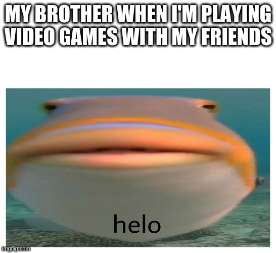 helo fish | MY BROTHER WHEN I'M PLAYING VIDEO GAMES WITH MY FRIENDS | image tagged in helo fish | made w/ Imgflip meme maker