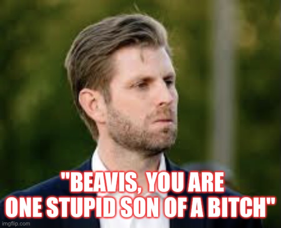 Eric Trump Busted For Fake Video Of Someone 'Burning 80 Trump Ballots' | "BEAVIS, YOU ARE ONE STUPID SON OF A BITCH" | image tagged in eric trump,moron,dumbass,election 2020,lock him up,beavis and butthead | made w/ Imgflip meme maker
