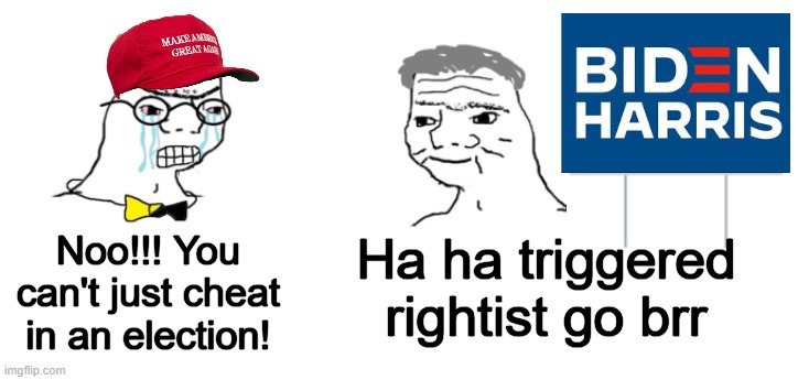 image tagged in memes,noooo you can't just,triggered rightist | made w/ Imgflip meme maker