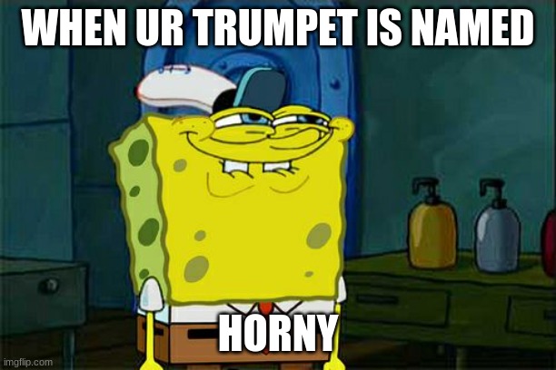 Don't You Squidward Meme | WHEN UR TRUMPET IS NAMED; HORNY | image tagged in memes,don't you squidward | made w/ Imgflip meme maker