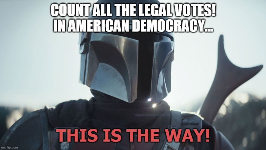 mandolorian count the votes | COUNT ALL THE LEGAL VOTES!
IN AMERICAN DEMOCRACY... THIS IS THE WAY! | image tagged in the mandalorian | made w/ Imgflip meme maker