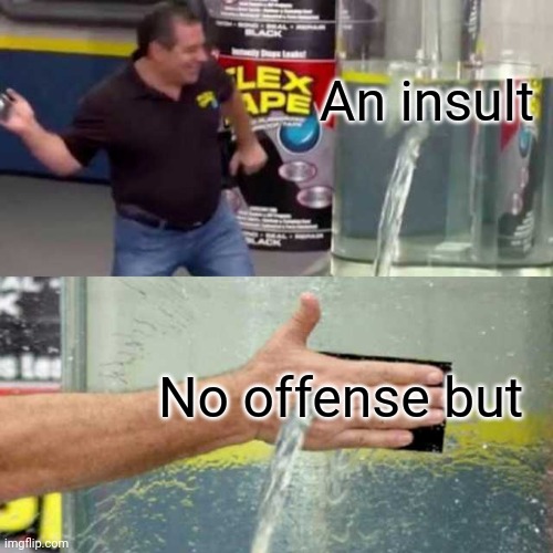 No oFfEnsE buT I hAte YoU |  An insult; No offense but | image tagged in bad counter,memes,flex tape | made w/ Imgflip meme maker