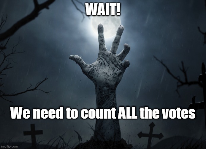 Election 2020 | WAIT! We need to count ALL the votes | image tagged in politics | made w/ Imgflip meme maker