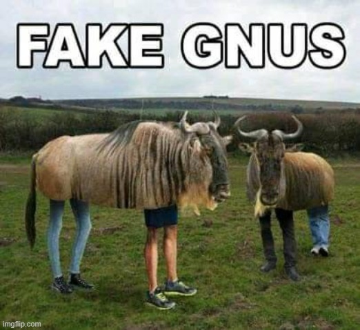 Fake Gnus | image tagged in fake gnus meme,fake news meme | made w/ Imgflip meme maker