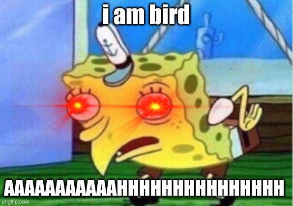 i am bird; AAAAAAAAAAAHHHHHHHHHHHHHHH | image tagged in funny meme | made w/ Imgflip meme maker
