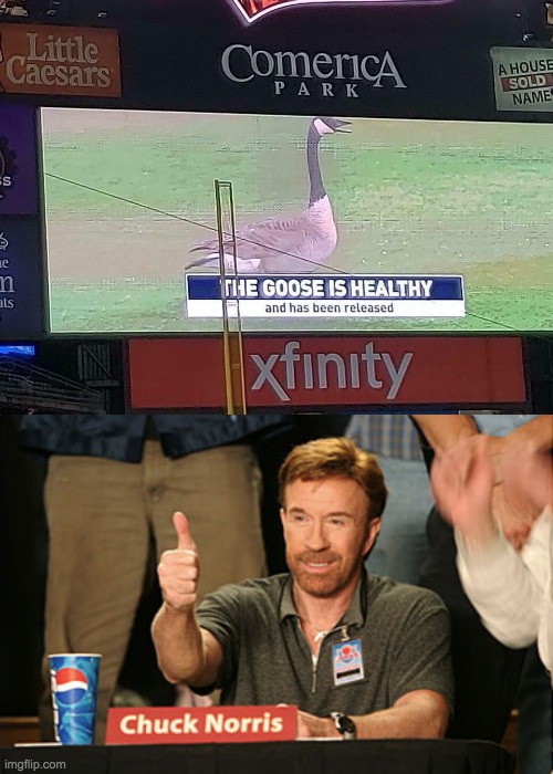 THE GOOSE | image tagged in memes,chuck norris approves | made w/ Imgflip meme maker