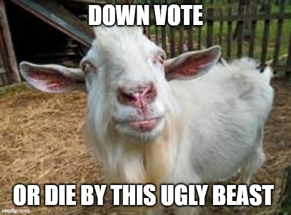 bored goat | DOWN VOTE; OR DIE BY THIS UGLY BEAST | image tagged in bored goat | made w/ Imgflip meme maker