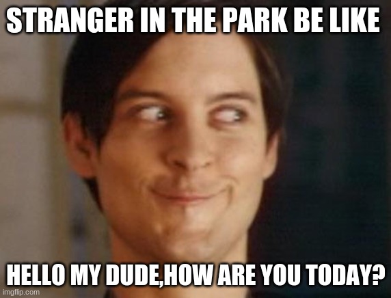 Spiderman Peter Parker | STRANGER IN THE PARK BE LIKE; HELLO MY DUDE,HOW ARE YOU TODAY? | image tagged in memes,spiderman peter parker | made w/ Imgflip meme maker