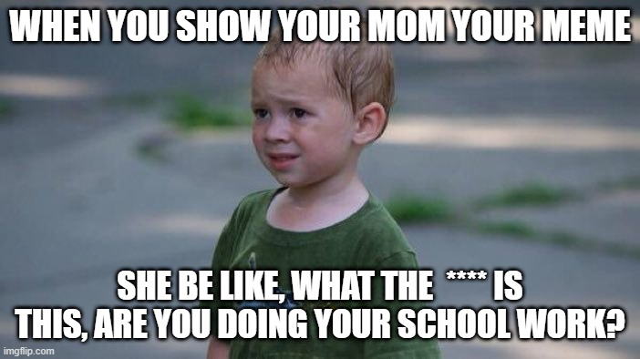 Comfused | WHEN YOU SHOW YOUR MOM YOUR MEME; SHE BE LIKE, WHAT THE  **** IS THIS, ARE YOU DOING YOUR SCHOOL WORK? | image tagged in comfused | made w/ Imgflip meme maker