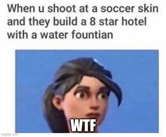wtf | WTF | image tagged in wtf | made w/ Imgflip meme maker