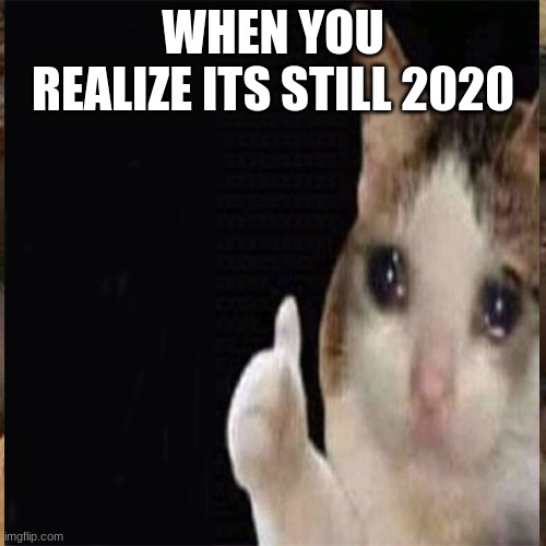 rest in peace peeps | WHEN YOU REALIZE ITS STILL 2020 | image tagged in memes | made w/ Imgflip meme maker