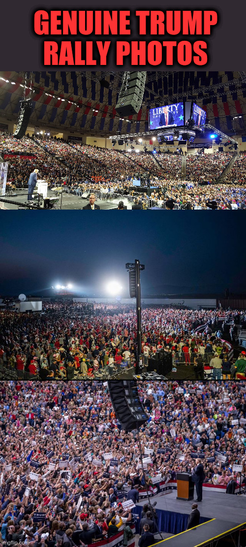 TRUMP RALLY PHOTOS | GENUINE TRUMP RALLY PHOTOS | image tagged in trump rally,maga | made w/ Imgflip meme maker