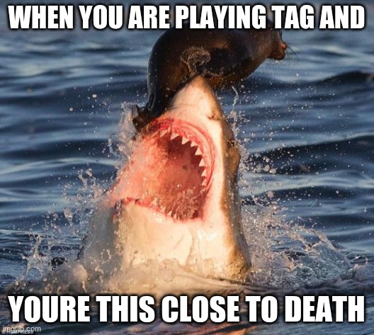 Travelonshark | WHEN YOU ARE PLAYING TAG AND; YOURE THIS CLOSE TO DEATH | image tagged in memes,travelonshark | made w/ Imgflip meme maker