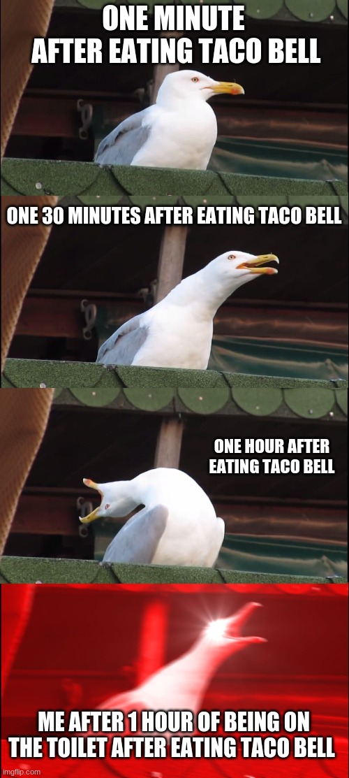 taco bell make you poo poo | ONE MINUTE
 AFTER EATING TACO BELL; ONE 30 MINUTES AFTER EATING TACO BELL; ONE HOUR AFTER EATING TACO BELL; ME AFTER 1 HOUR OF BEING ON THE TOILET AFTER EATING TACO BELL | image tagged in memes,inhaling seagull | made w/ Imgflip meme maker