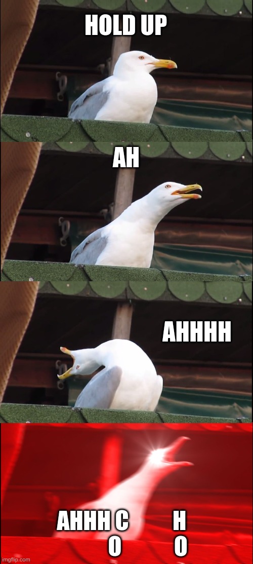 Inhaling Seagull Meme | HOLD UP AH AHHHH AHHH C          H             O            O | image tagged in memes,inhaling seagull | made w/ Imgflip meme maker