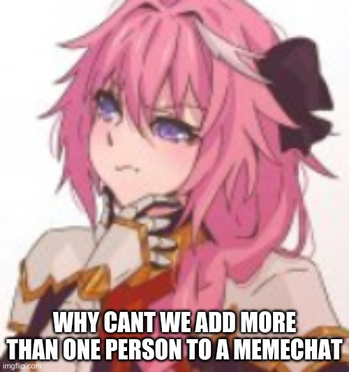 WHY CANT WE ADD MORE THAN ONE PERSON TO A MEMECHAT | made w/ Imgflip meme maker