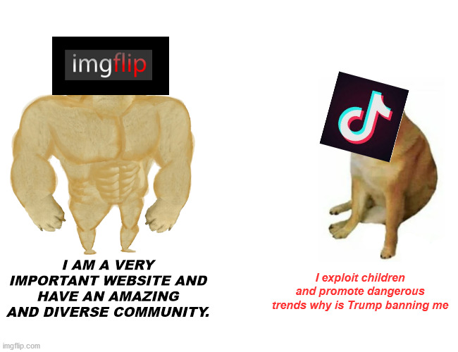 Buff Doge vs. Cheems | I AM A VERY IMPORTANT WEBSITE AND HAVE AN AMAZING AND DIVERSE COMMUNITY. I exploit children and promote dangerous trends why is Trump banning me | image tagged in memes,buff doge vs cheems | made w/ Imgflip meme maker