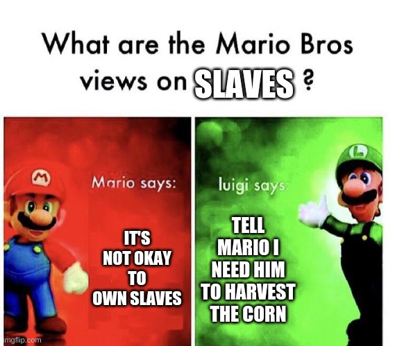 Mario Bros Views | SLAVES; IT'S NOT OKAY TO OWN SLAVES; TELL MARIO I NEED HIM TO HARVEST THE CORN | image tagged in mario bros views | made w/ Imgflip meme maker