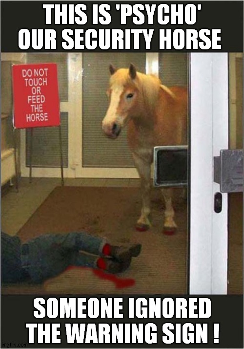He Was Warned About The Horse | THIS IS 'PSYCHO'; OUR SECURITY HORSE; SOMEONE IGNORED THE WARNING SIGN ! | image tagged in fun,horse,warning sign,frontpage | made w/ Imgflip meme maker