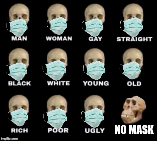 idiot skull | NO MASK | image tagged in idiot skull | made w/ Imgflip meme maker