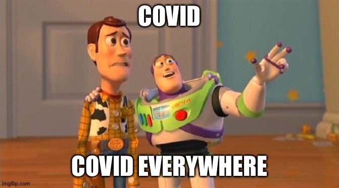 TOYSTORY EVERYWHERE | COVID COVID EVERYWHERE | image tagged in toystory everywhere | made w/ Imgflip meme maker