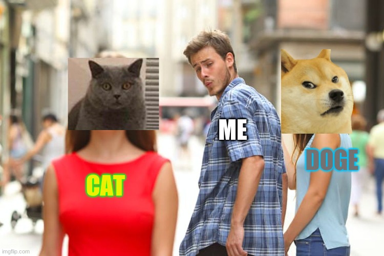dog v.s cat | ME; DOGE; CAT | image tagged in memes,distracted boyfriend,doge,cat | made w/ Imgflip meme maker