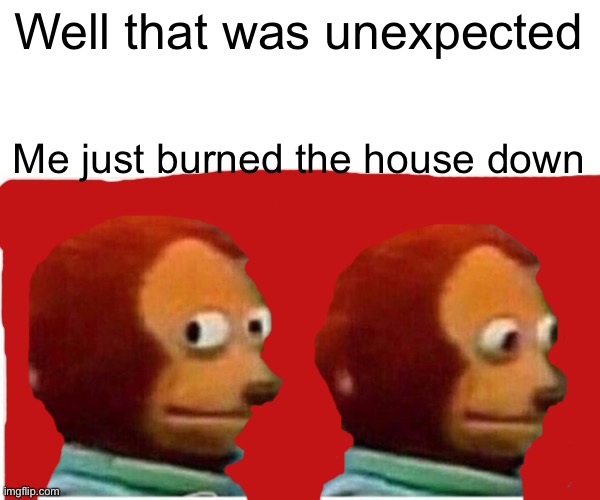 Monkey Puppet | Well that was unexpected; Me just burned the house down | image tagged in memes,monkey puppet | made w/ Imgflip meme maker