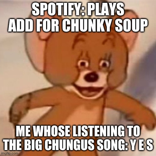 big chungus | SPOTIFY: PLAYS ADD FOR CHUNKY SOUP; ME WHOSE LISTENING TO THE BIG CHUNGUS SONG: Y E S | image tagged in polish jerry | made w/ Imgflip meme maker