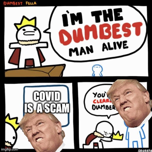I'm the dumbest man alive | COVID IS  A SCAM | image tagged in i'm the dumbest man alive | made w/ Imgflip meme maker