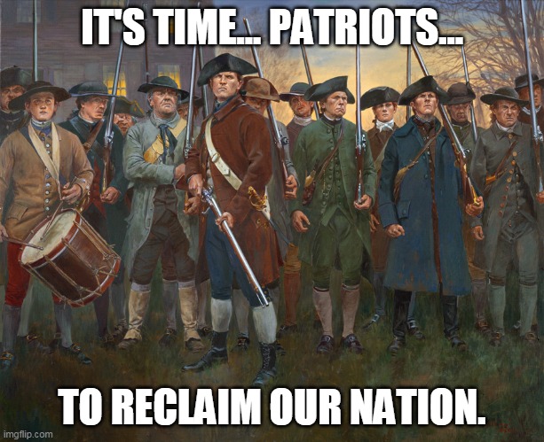 What Democrats are doing right now is treasonous. | IT'S TIME... PATRIOTS... TO RECLAIM OUR NATION. | image tagged in revolutionary militia,civil war,voter fraud,democrats,biden,maga2020 | made w/ Imgflip meme maker