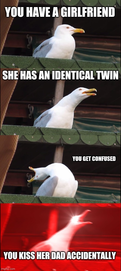 The classic mistake | YOU HAVE A GIRLFRIEND; SHE HAS AN IDENTICAL TWIN; YOU GET CONFUSED; YOU KISS HER DAD ACCIDENTALLY | image tagged in memes,inhaling seagull | made w/ Imgflip meme maker