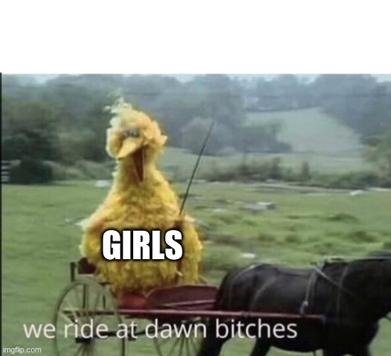 We ride at dawn bitches | GIRLS | image tagged in we ride at dawn bitches | made w/ Imgflip meme maker