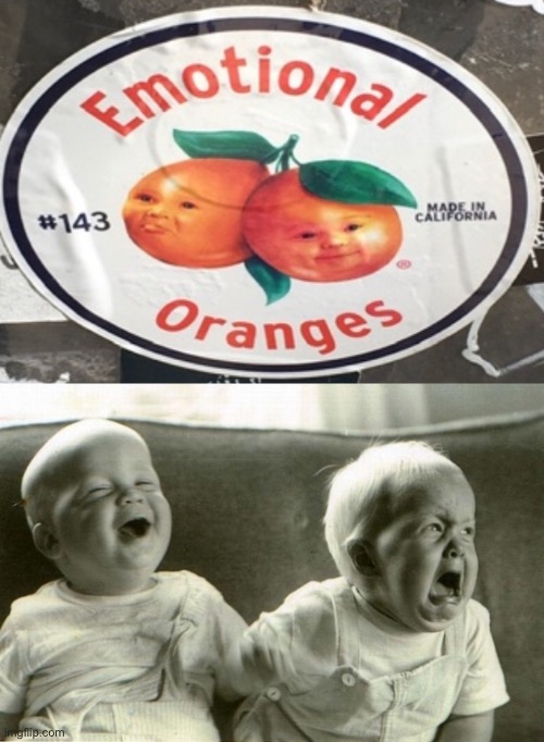 Same thing | image tagged in happysadbabies,emotions,emotional,oranges,street art | made w/ Imgflip meme maker