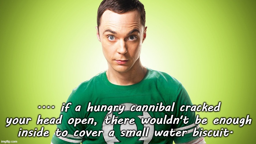 .... if a hungry cannibal cracked your head open, there wouldn't be enough inside to cover a small water biscuit. | image tagged in sheldon cooper,funny,the big bang theory | made w/ Imgflip meme maker