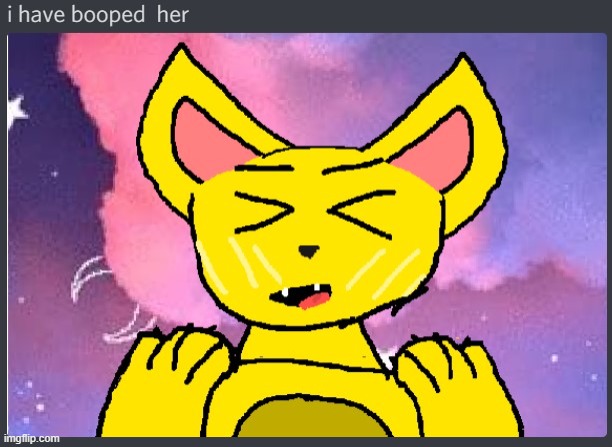 o\w/o | image tagged in furry,boop,cute,cute cat,cat,uwu | made w/ Imgflip meme maker