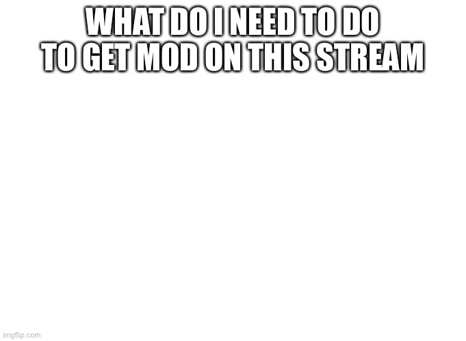 WHAT DO I NEED TO DO TO GET MOD ON THIS STREAM | image tagged in brawl stars | made w/ Imgflip meme maker