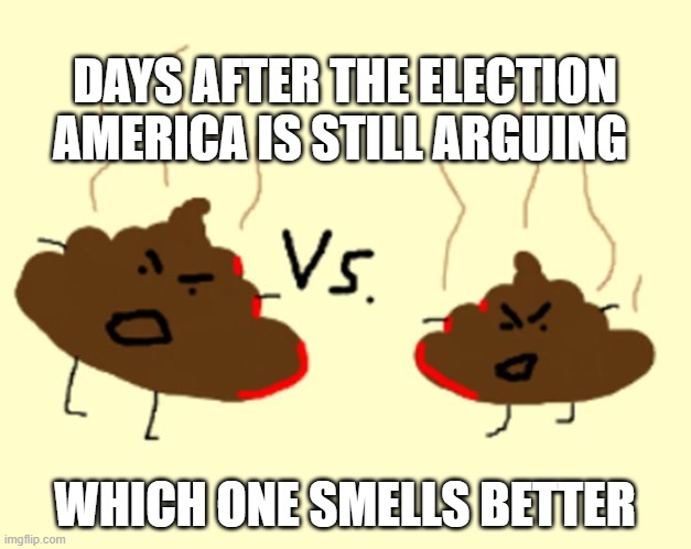 And the winner is..... | DAYS AFTER THE ELECTION AMERICA IS STILL ARGUING; WHICH ONE SMELLS BETTER | image tagged in funny meme,election results | made w/ Imgflip meme maker