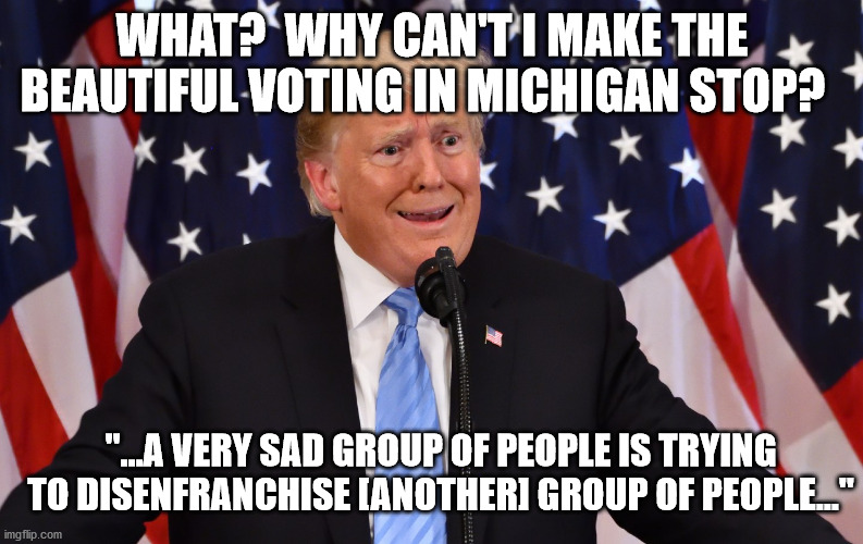 Trump complaining about Michigan | WHAT?  WHY CAN'T I MAKE THE BEAUTIFUL VOTING IN MICHIGAN STOP? "...A VERY SAD GROUP OF PEOPLE IS TRYING TO DISENFRANCHISE [ANOTHER] GROUP OF PEOPLE..." | image tagged in michigan,votingrights,democracy,allvotesmatter | made w/ Imgflip meme maker