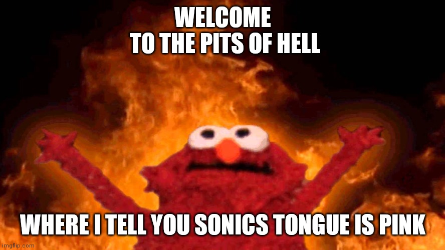 Thanks SEGA | WELCOME
 TO THE PITS OF HELL; WHERE I TELL YOU SONICS TONGUE IS PINK | image tagged in elmo fire | made w/ Imgflip meme maker