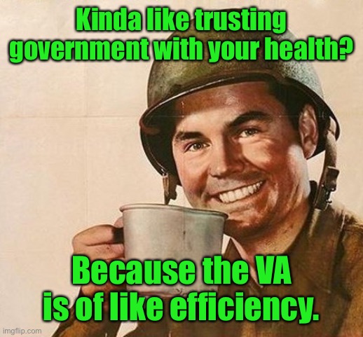 Veteran Nation | Kinda like trusting government with your health? Because the VA is of like efficiency. | image tagged in veteran nation | made w/ Imgflip meme maker