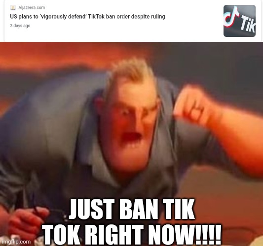 JUST BAN TIK TOK RIGHT NOW!!!! | image tagged in mr incredible mad | made w/ Imgflip meme maker