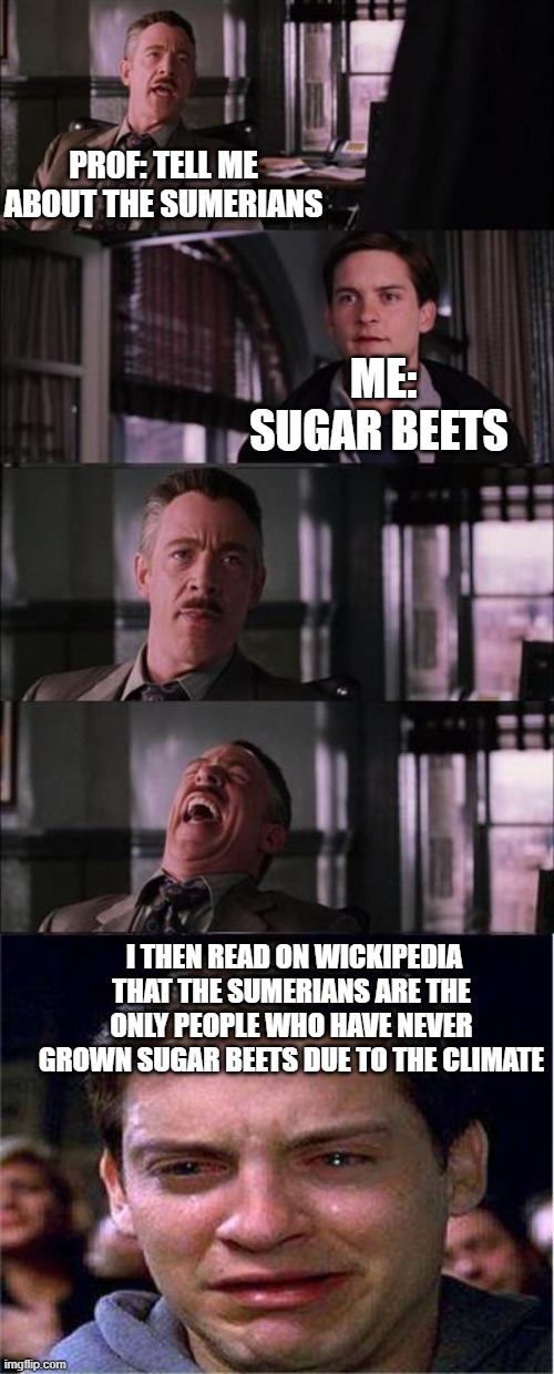 Peter Parker Cry |  PROF: TELL ME ABOUT THE SUMERIANS; ME: SUGAR BEETS; I THEN READ ON WICKIPEDIA THAT THE SUMERIANS ARE THE ONLY PEOPLE WHO HAVE NEVER GROWN SUGAR BEETS DUE TO THE CLIMATE | image tagged in memes,peter parker cry | made w/ Imgflip meme maker