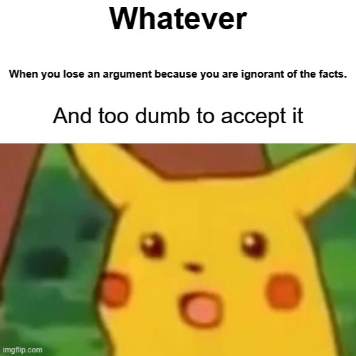 Surprised Pikachu Meme | Whatever; When you lose an argument because you are ignorant of the facts. And too dumb to accept it | image tagged in memes,surprised pikachu | made w/ Imgflip meme maker