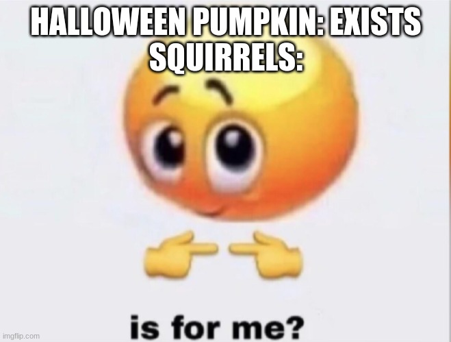is for me? | HALLOWEEN PUMPKIN: EXISTS
SQUIRRELS: | image tagged in is for me | made w/ Imgflip meme maker