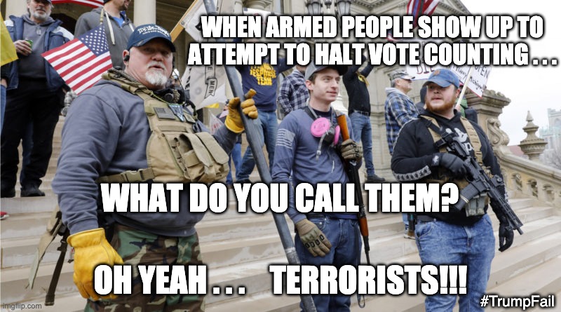 Yeah, you really need to worry about the bleeding heart liberals | WHEN ARMED PEOPLE SHOW UP TO ATTEMPT TO HALT VOTE COUNTING . . . WHAT DO YOU CALL THEM? OH YEAH . . .    TERRORISTS!!! #TrumpFail | image tagged in pandemic lockdown protestors,terrorism,terrorists,trump,election,loser | made w/ Imgflip meme maker